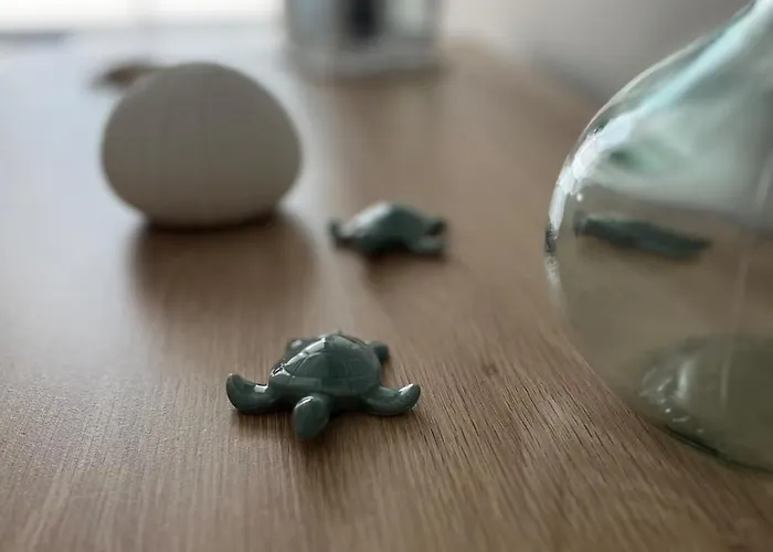 بيت للعطل La Vida, Havre De Paix A 50m De La Plage, 5 Pers Max سا يْليرْ دو ري